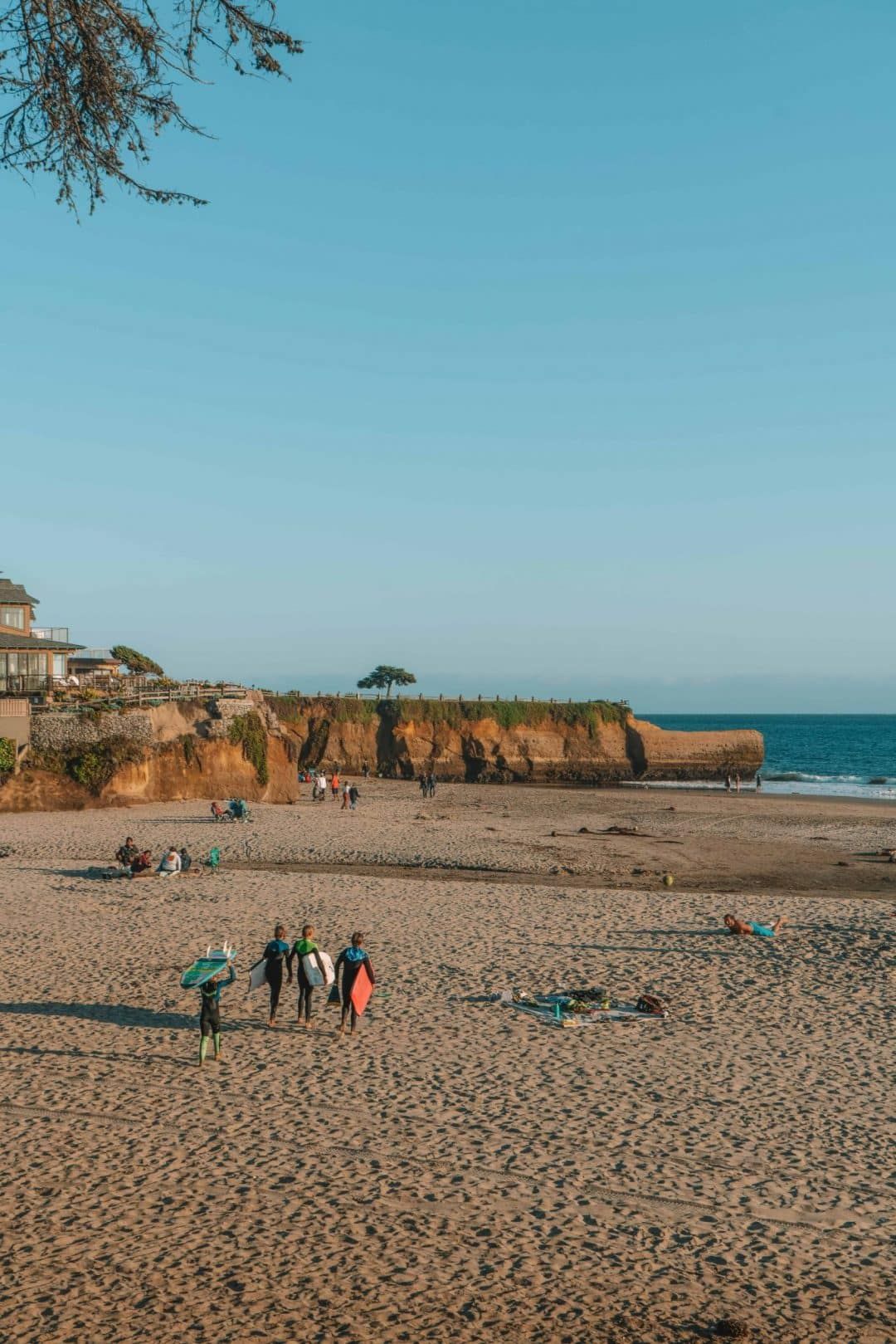 santa cruz beaches - a local's guide to the best ones to visit