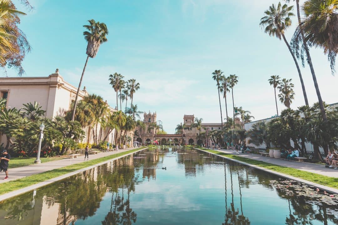 A man-made pond in Balboa Park lined with palm trees and reflecting a blue sky.