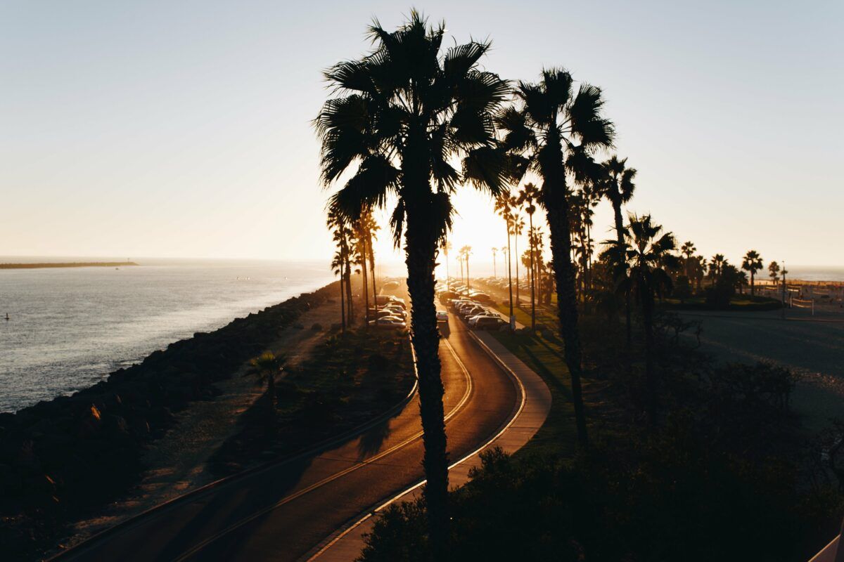 A San Diego street at sunset with palm trees and the ocean in the distance, best things to do in San Diego, California.