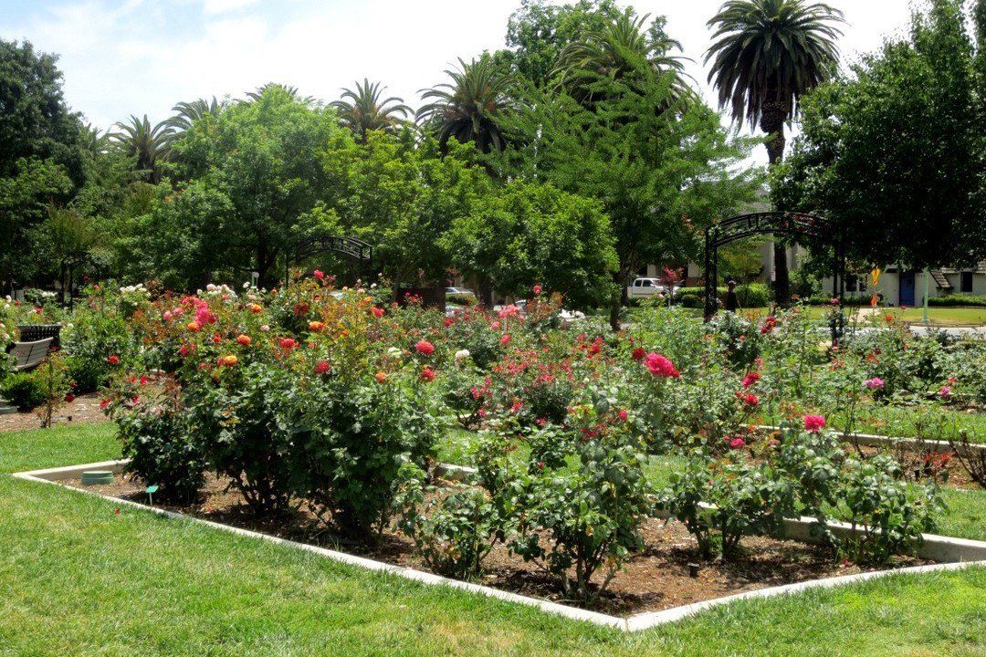 McKinley Garden - Sacramento, California