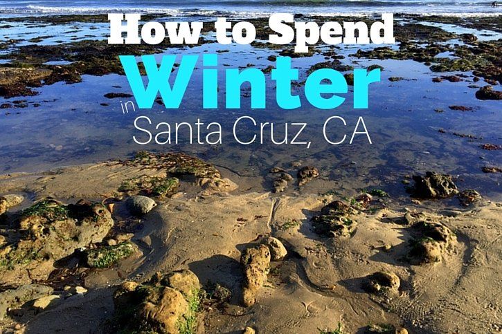 What to Do in Santa Cruz in Winter