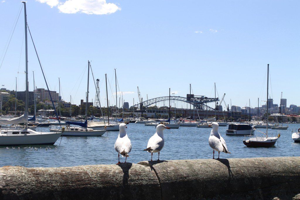 Getting a Work Visa in Australia for Americans | jobs in Australia for Americans | Double Bay, Sydney