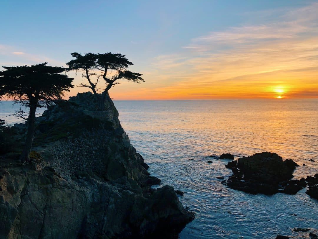 Santa Cruz to Monterey to Carmel-By-the-Sea | 17 Mile Drive