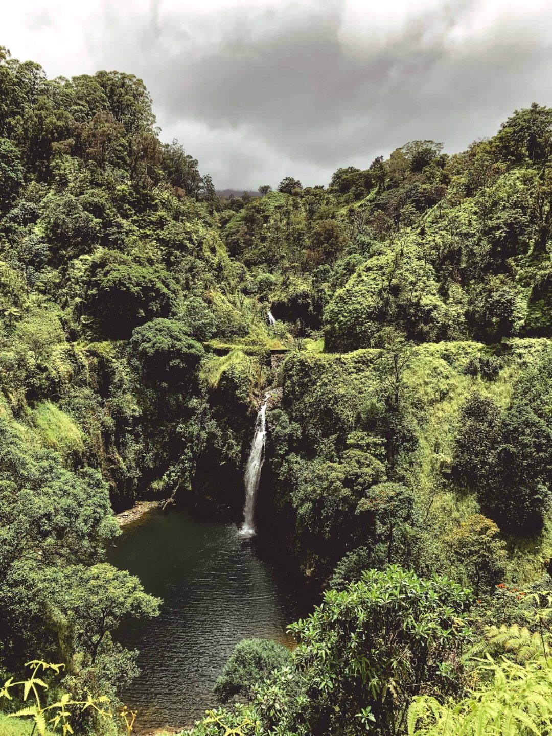 can you swim in the waterfalls in maui