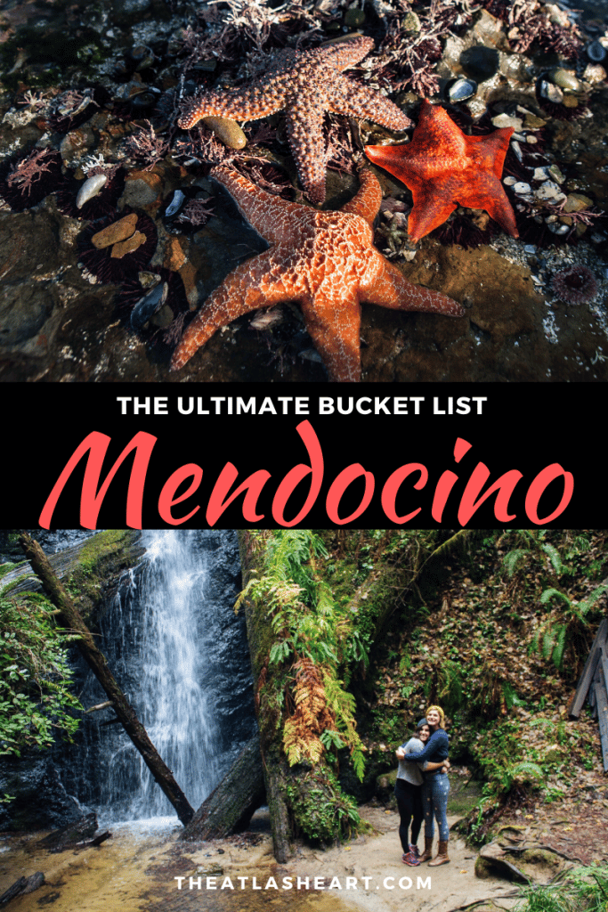 Best Things to do in Mendocino, California