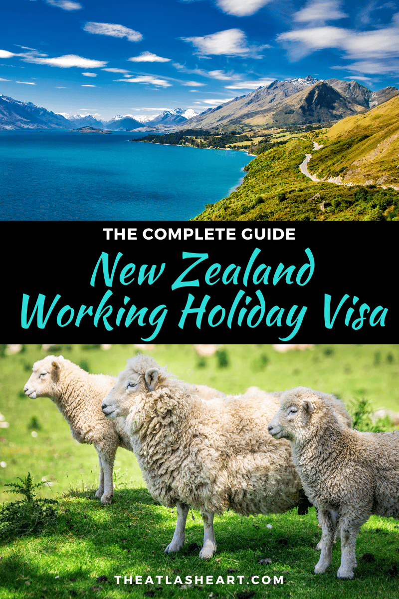 new zealand working holiday visa for americans