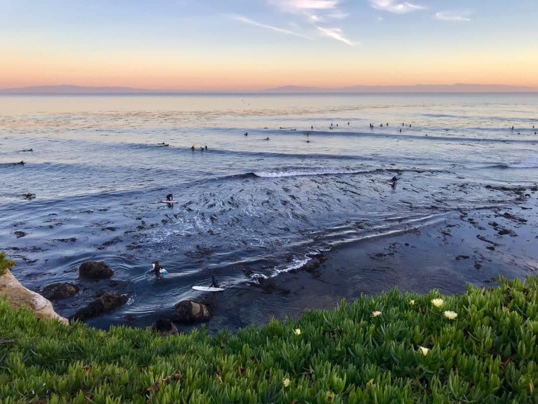 looking for cool things to do in santa cruz? How about a surf lesson.