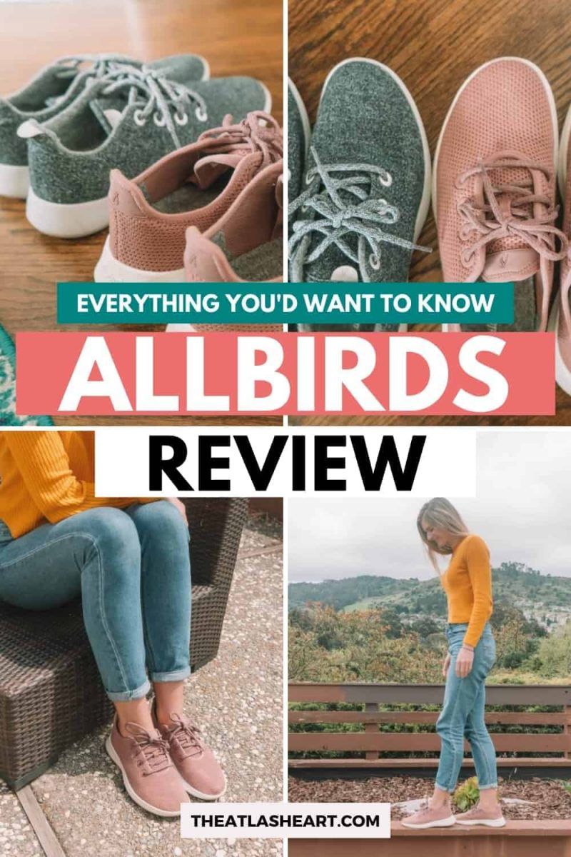 Allbirds Review: Allbirds Tree Runners Vs Allbirds Wool Runners