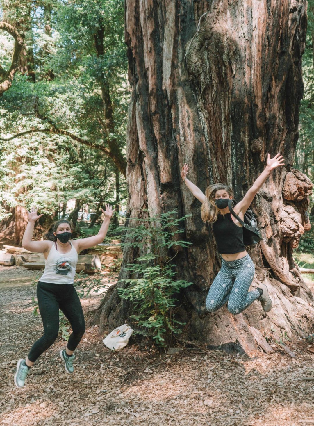 Two women wearing face masks and leggings caught mid-jump with their arms raised at the base of a huge tree in Big Basin Redwoods State Park.