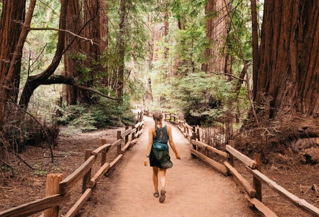 A light-haired woman with two braids seen from behind as she walks down a path in Muir Woods.