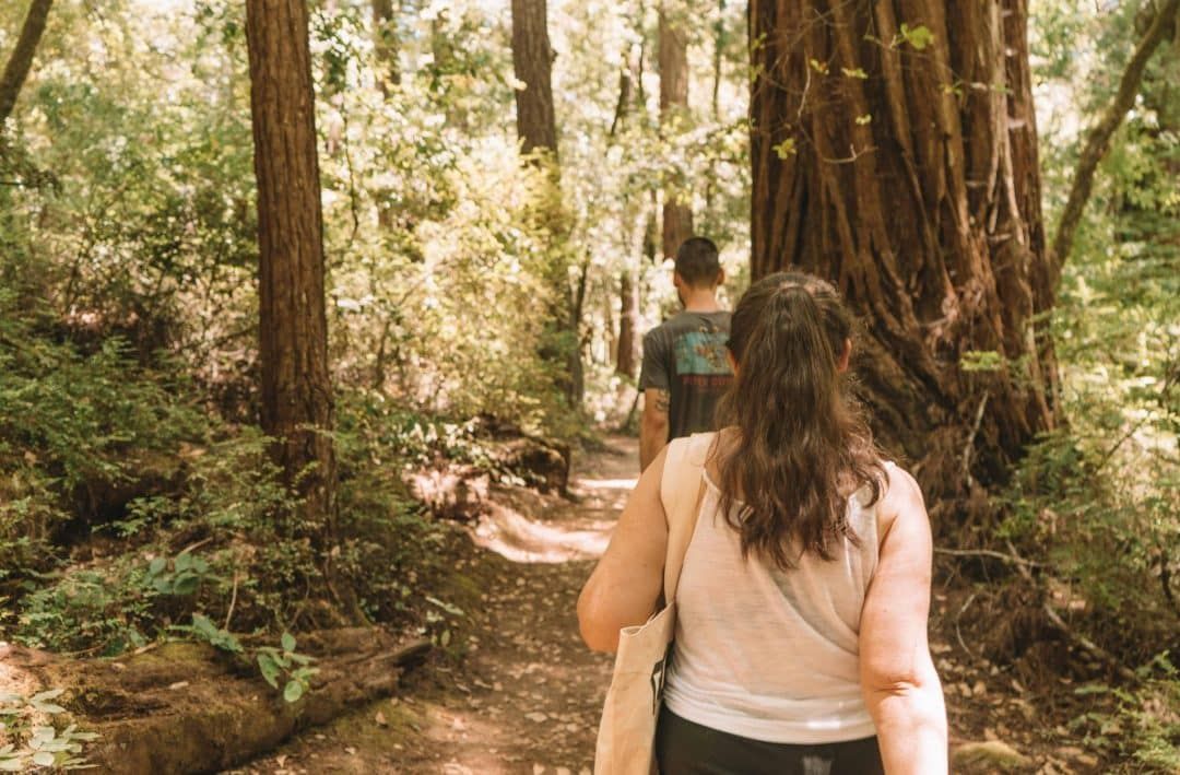 what to pack for redwood hikes - hiking big basin