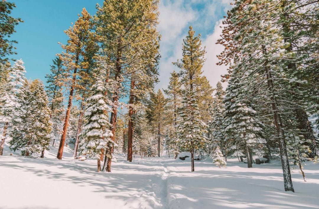 winter actitivies in lake tahoe - cross country skiing