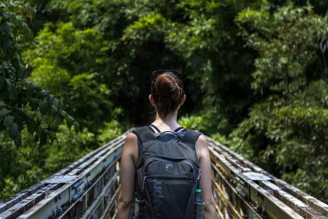 A young brunette seen from behind, wearing a dark grey backpack and walking across a bridge in a leafy green jungle setting.