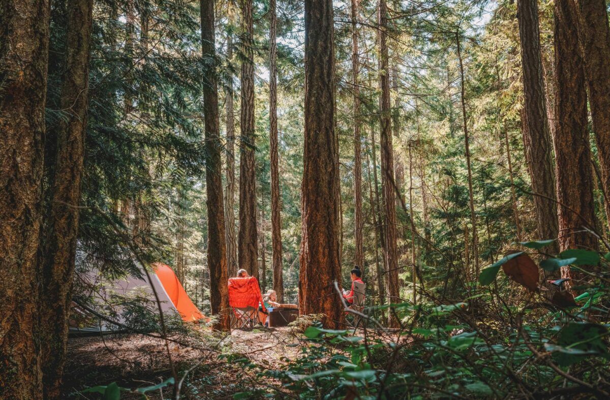 Bright orange family camping tent in the midst of the woods, featured image for the best 6 person tent.