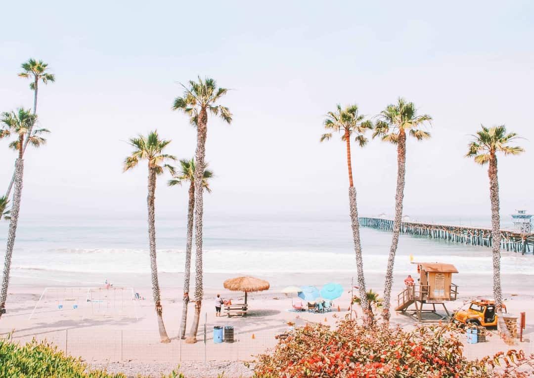 A beach in Orange County, California lined with spindly palm trees.