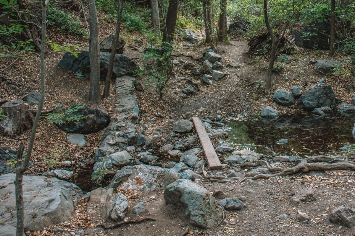 A small board lies across a small creek along a shady, forested trail on Saddleback Mountain.