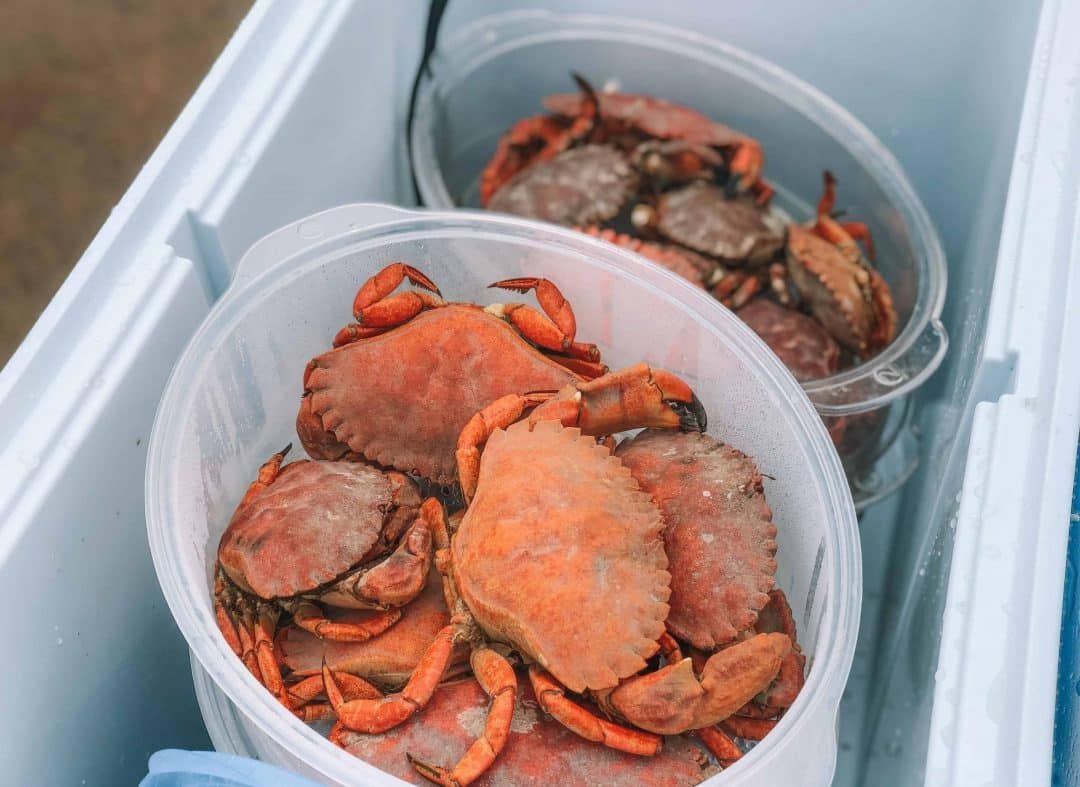 fresh crab in San Francisco
