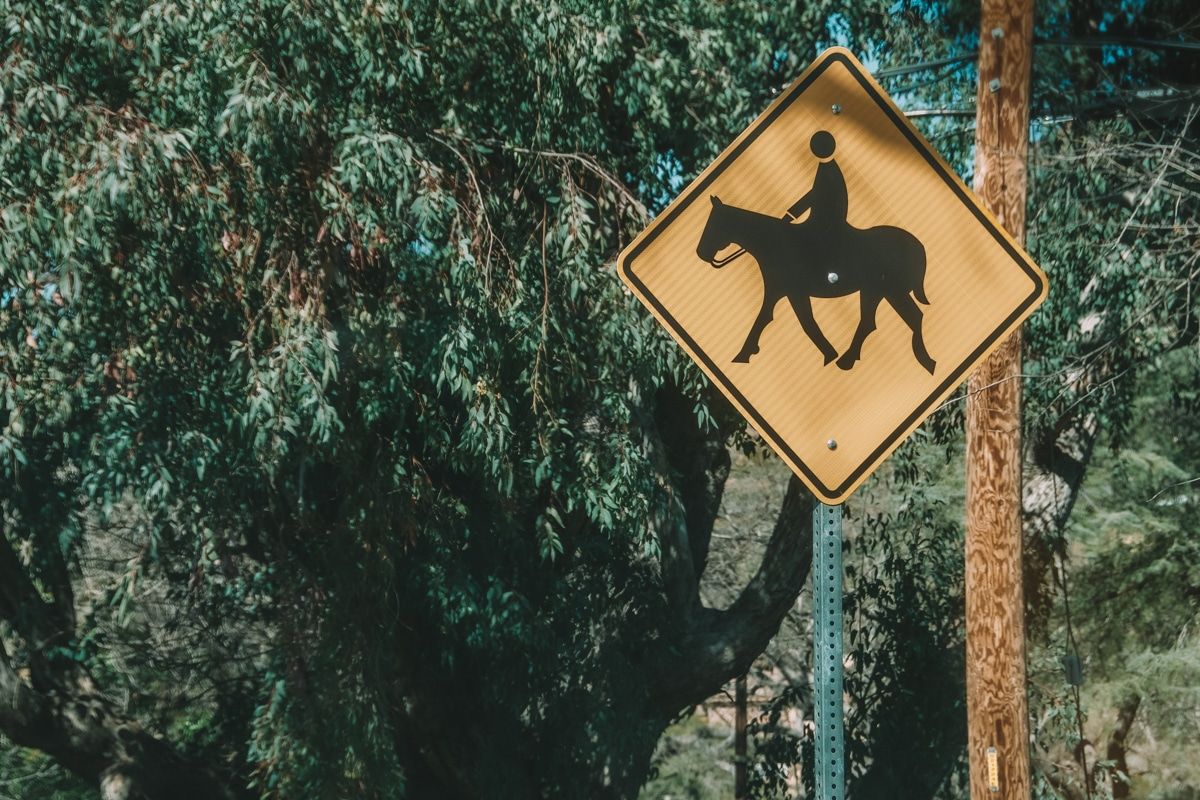 A yellow yield sign displaying a graphic of a person riding a horse, with trees in the background.