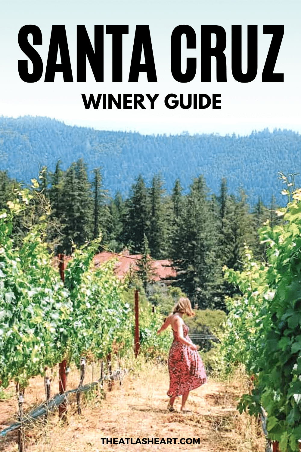 Santa Cruz Wineries Guide: Wine Tasting in the Santa Cruz Mountains