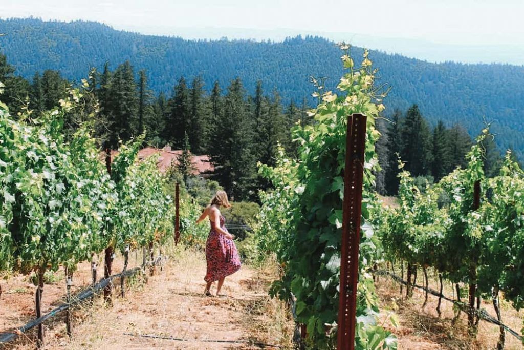 California wineries and vineyards, wine tasting in California
