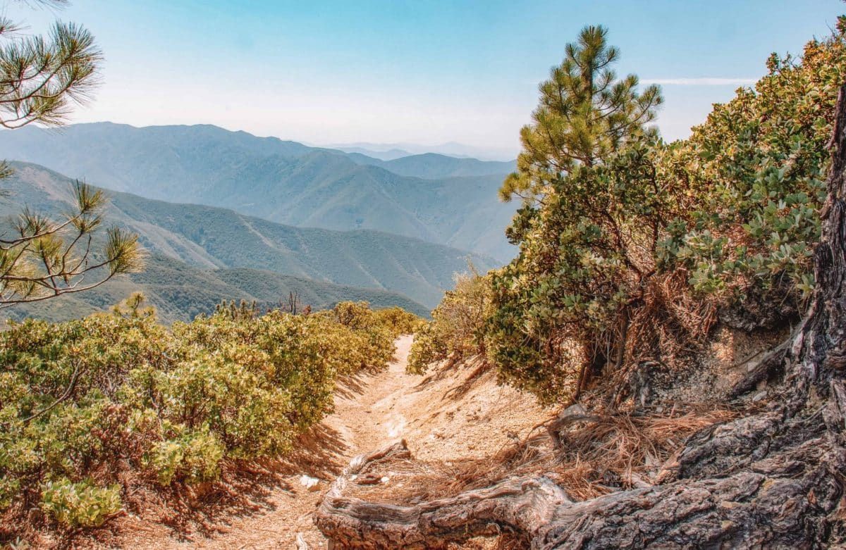 Tips for Hiking in Orange County Holy Jim Trail