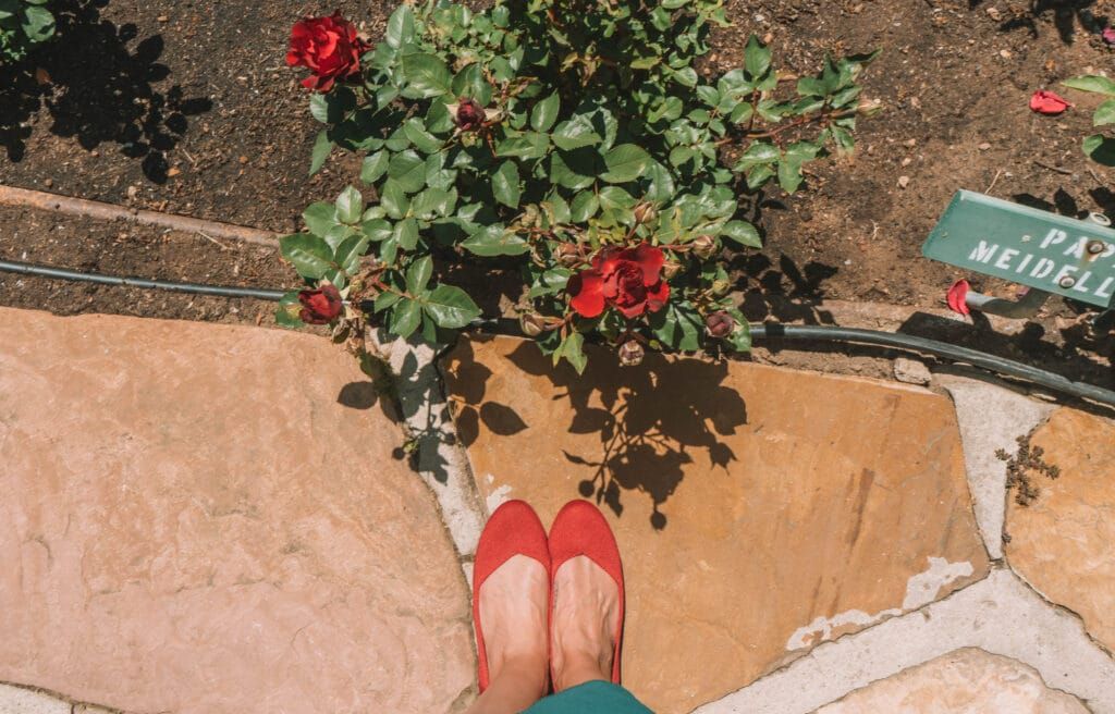 The feet of a woman wearing a turquoise skirt a pair of red Rothy's flats stands on a path in front of a 
 blooming rose bush.