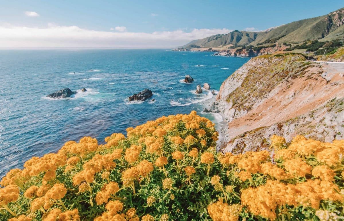 Tips for Driving the Pacific Coast Highway