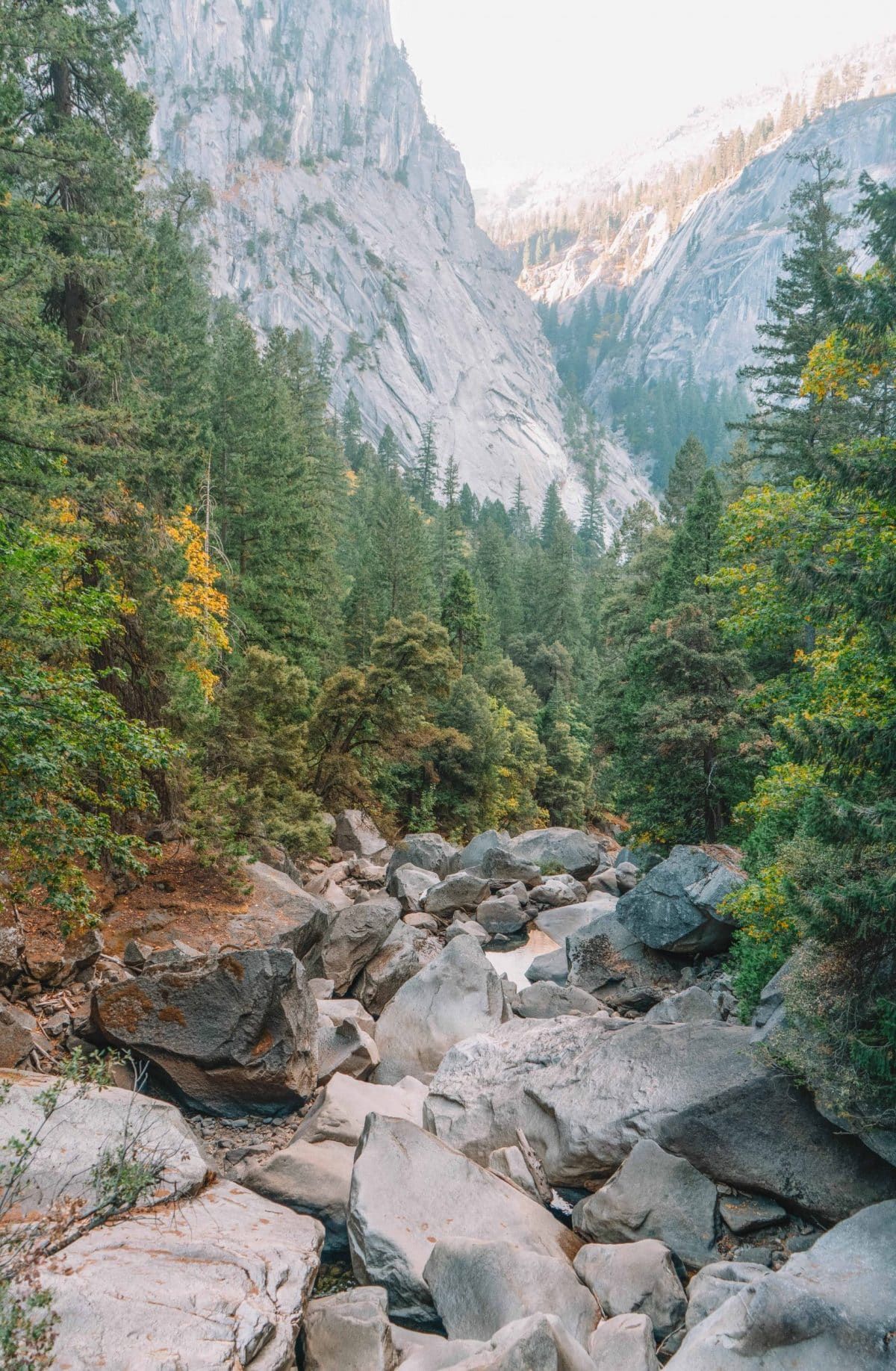 A photo of Yosemite National Park, with rocks, green trees, and large rock faces in the background.