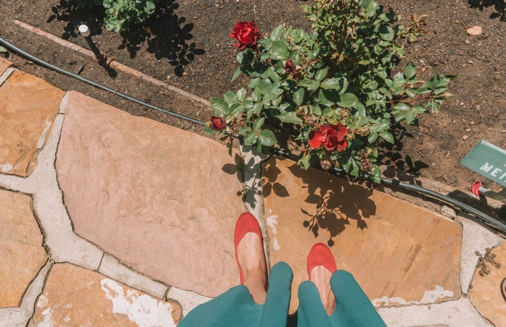 POV of a pair of feet wearing red flats standing on a stone patio next to a red rose bush.
