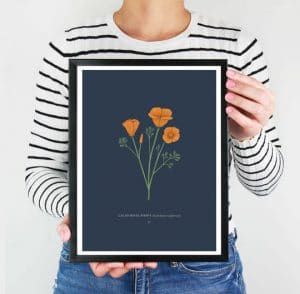 California Poppy Print Gift