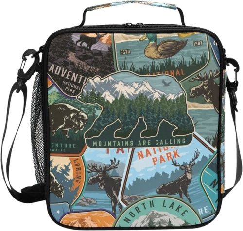 National Park Lunch Box with a collage of different national park badges.