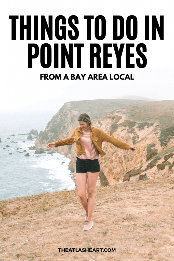 Things to do in Point Reyes Pin1