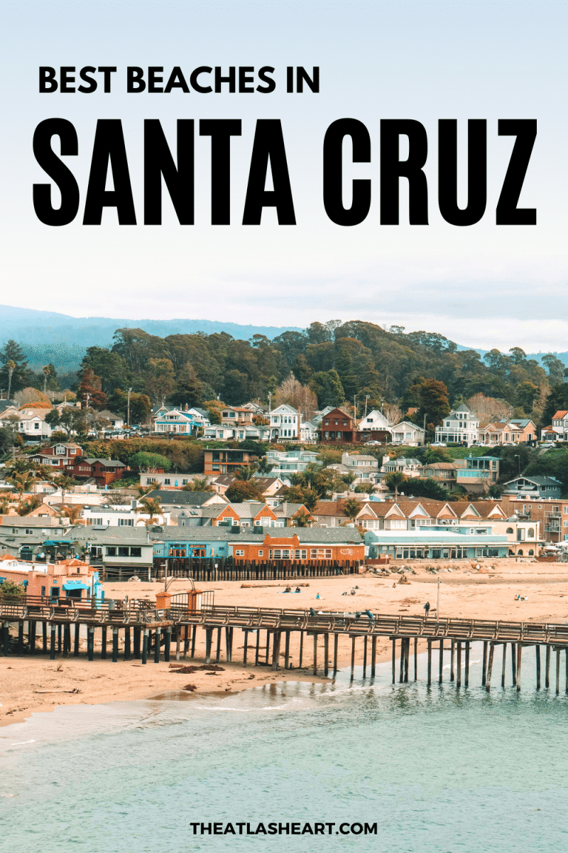 Best Beaches in Santa Cruz, California Pin 1