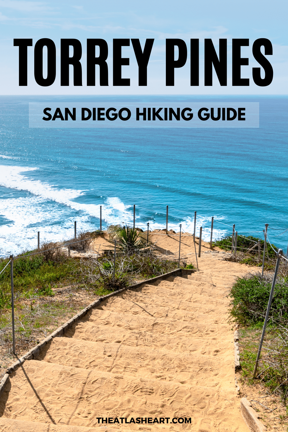 Torrey Pines Hiking Guide: Best Trails & What to Know Before You Go