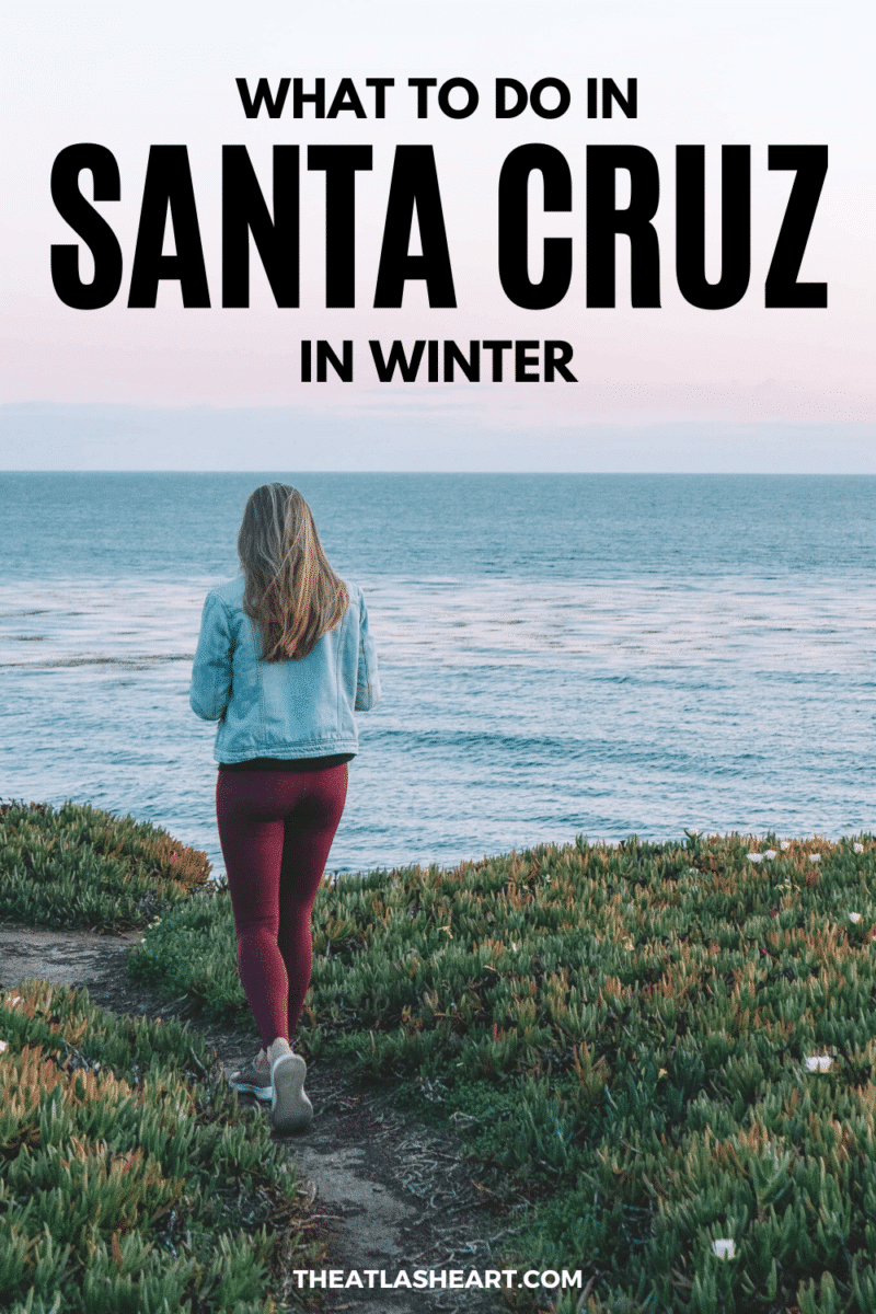 What to Do in Santa Cruz in Winter Pin 1