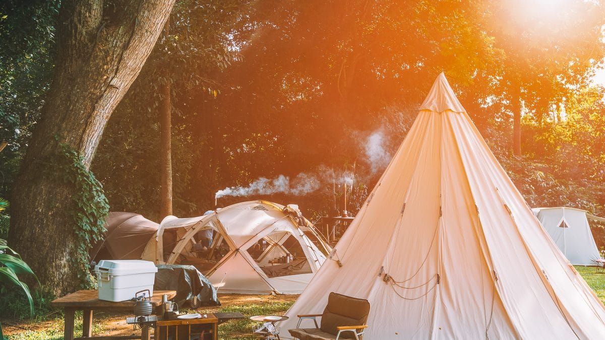 Several styles of canvas glamping tents pitched in a wooded campsite bathed in warm evening sunlight.