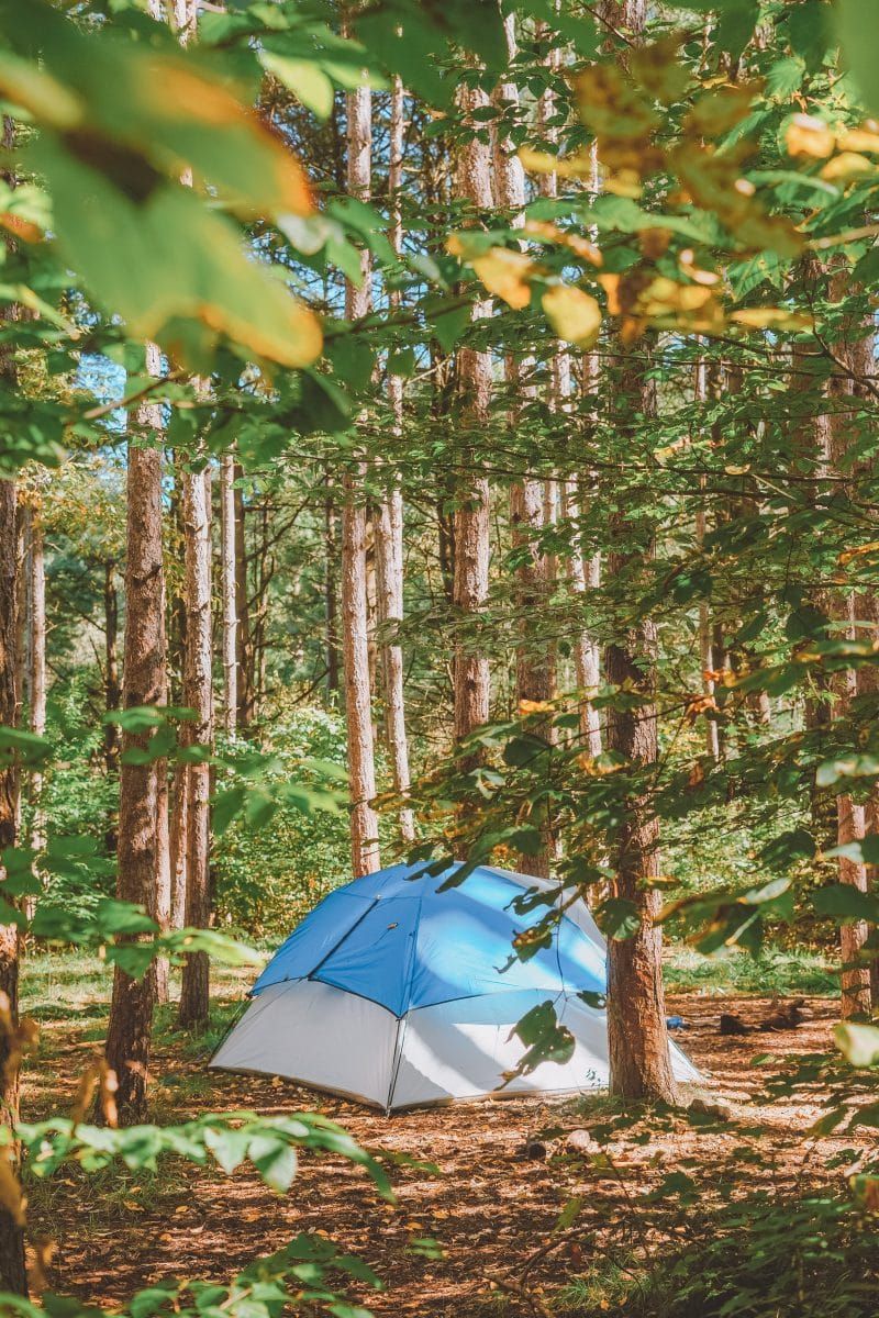 One of the best instant tents, a blue dome tent, pitched amongst a grove of trees.