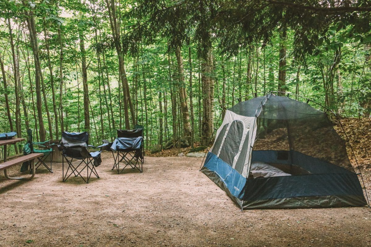A mostly mesh tent pitched alongside two camping chairs in a campsite surrounded by trees.