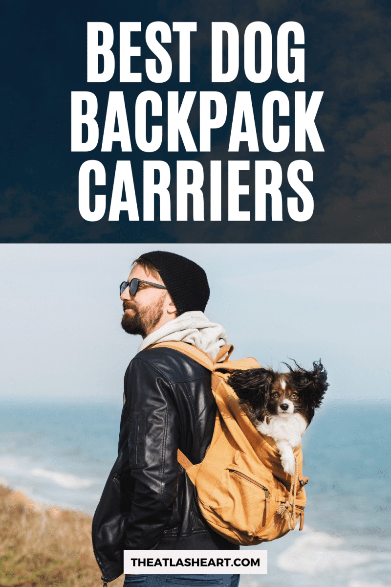 Best Dog Backpack Carriers Pin 1