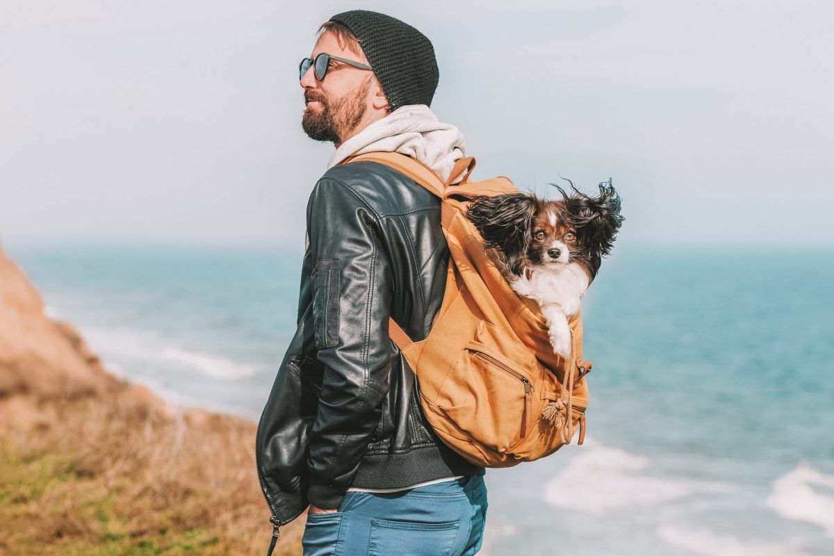 Best Dog Backpack Carriers for Hiking