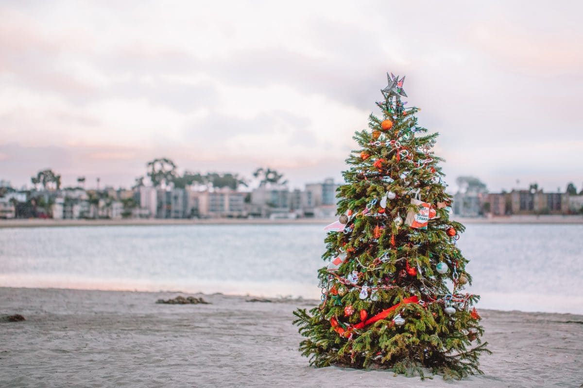 A fully-decorated Christmas tree on a beach in San Diego, with an early-evening sky behind it.