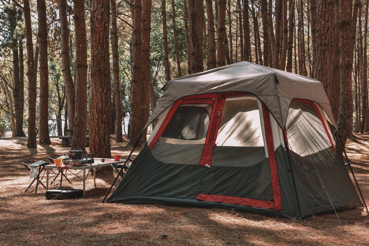A grey and red instant tent pitched beside some camp chairs in a campsite surrounded by redwood trees.