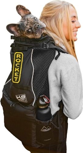 Product photo for the K9 Sport Sack Knavigate for Hiking and Biking, showing a blond female model wearing the backpack and a dog model riding inside of it.