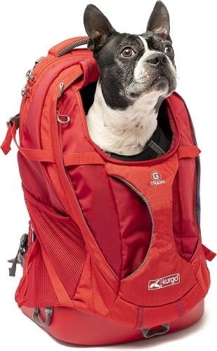 Product photo for the 
 Kurgo G-Train Dog Carrier Backpack, showing a dog model's head sticking out of a red backpack.