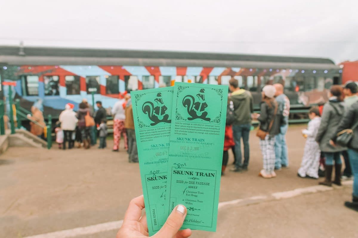 A hand holds up two green train tickets that say, "Skunk Train." with a line of people and a train in soft focus in the background.