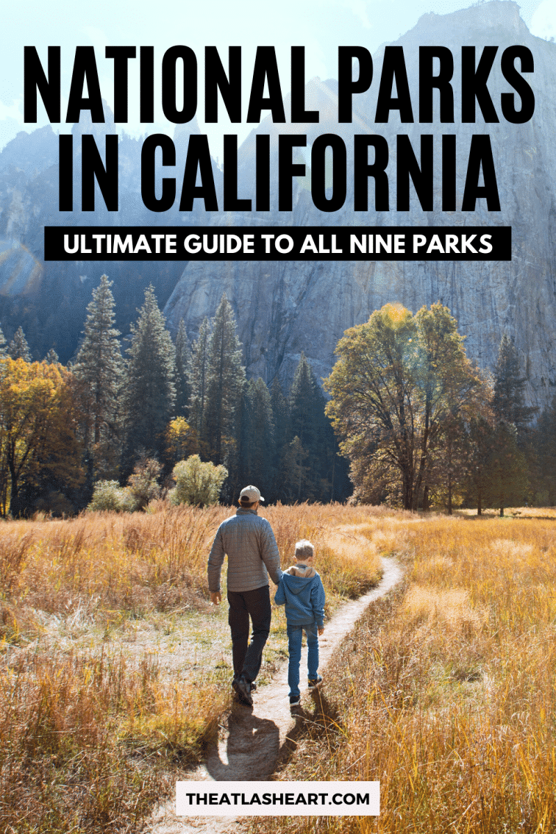 National Parks in California Pin 1