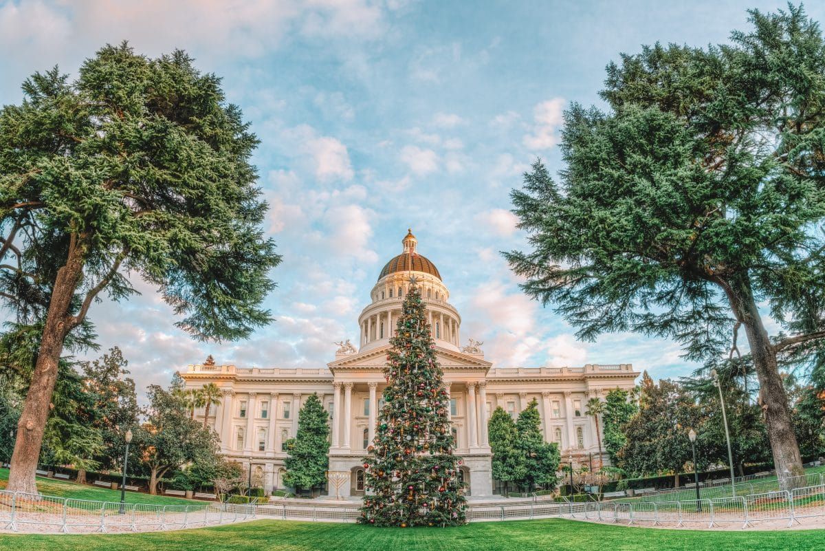 A large, decorated Christmas tree in front of City Hall in Sacramento, framed by trees with a blue, partly-cloudy sky behind it.
