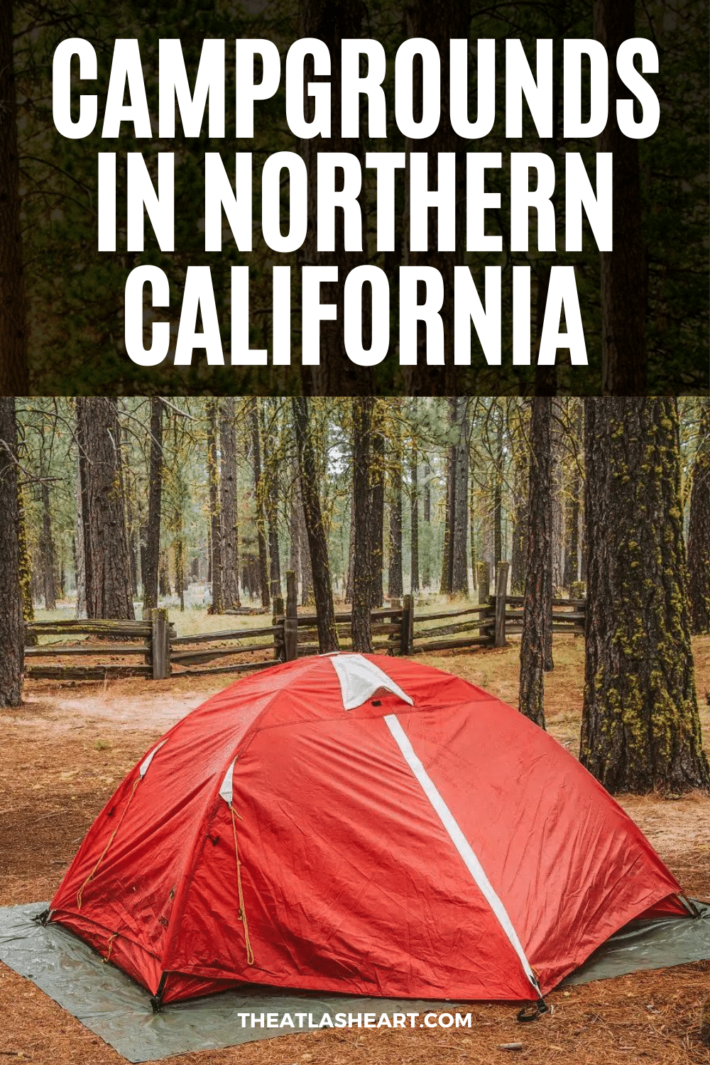 11 Best Campgrounds in Northern California That You Should Book Now