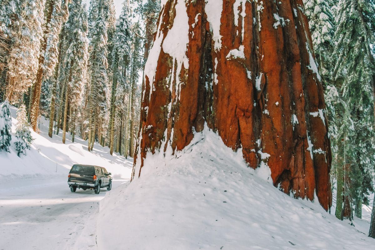 Sequoia and kings canyon national parks in winter