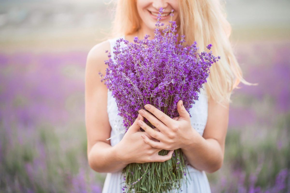 Magical Lavender Farms in California to Visit